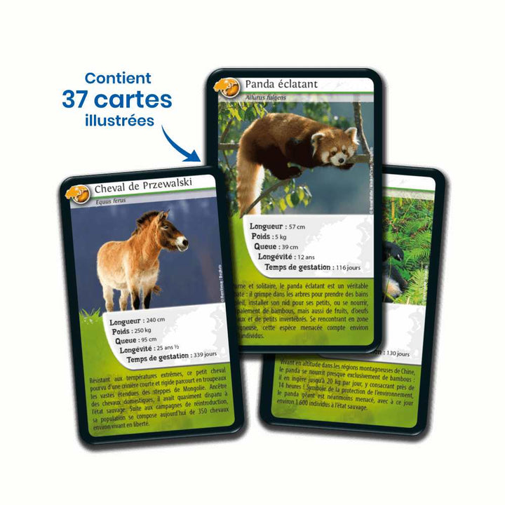 Défis Nature / Asie jeu de carte pour enfants Bioviva