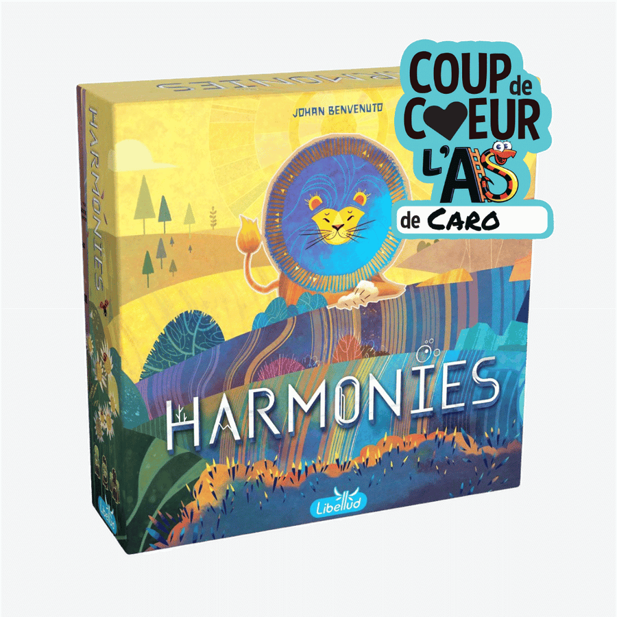 Harmonies, beautiful board game | L'As des jeux, boutique Gatineau