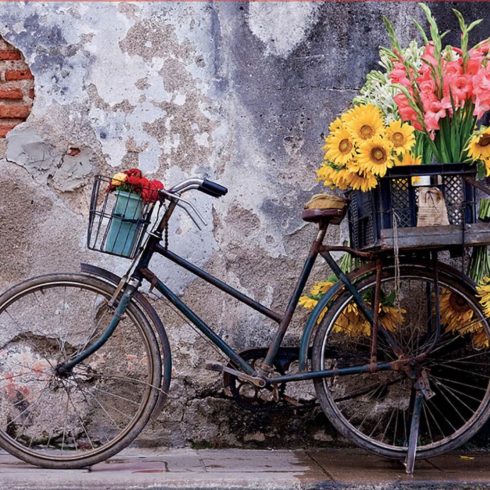 Bicyclette avec fleurs casse-tête | Bicycle with flowers Educa Puzzle