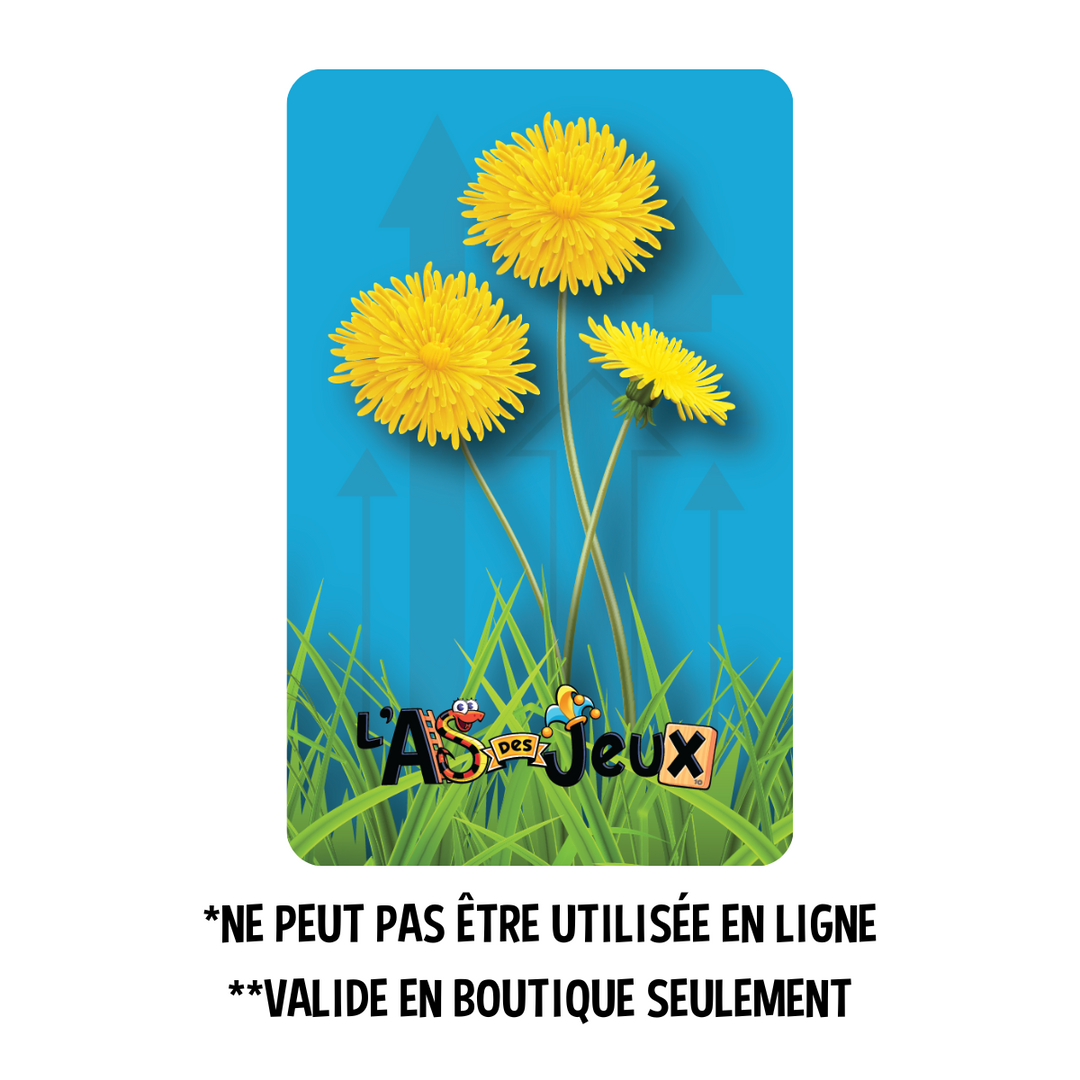 Carte cadeau PISSENLITS (valide en boutique seulement)