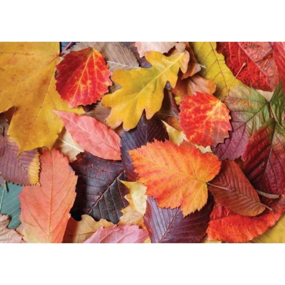 Colorful Leaves Magnolia Puzzles buy online |casse-tête achat en ligne